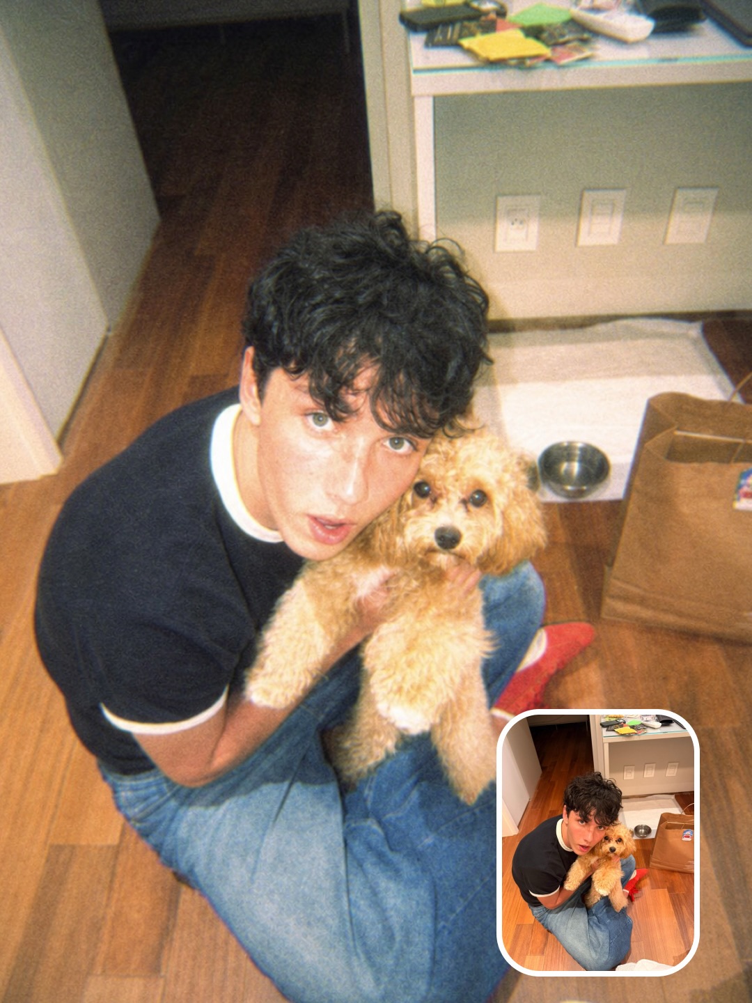 SKAI source example: Make a pet portrait feel instantly older